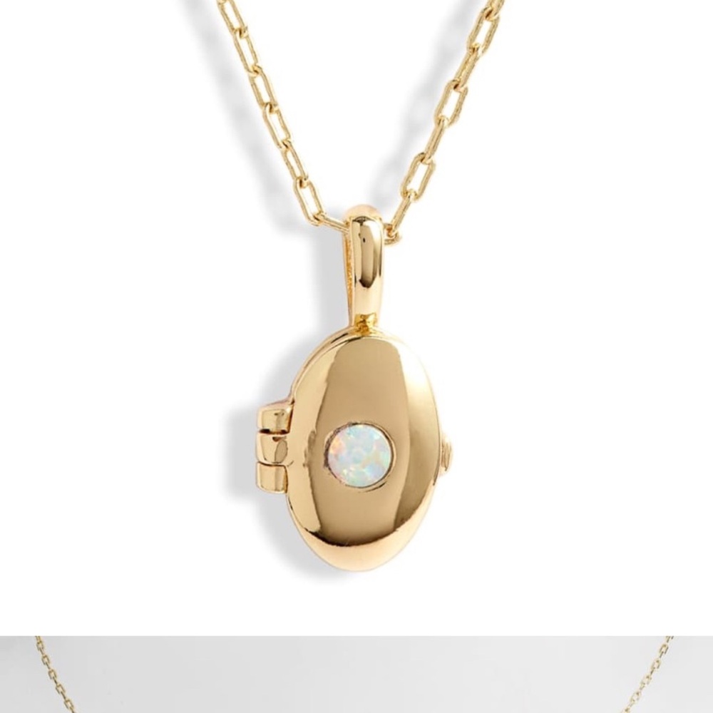 ISO GORJANA Gold Opal Locket Necklace